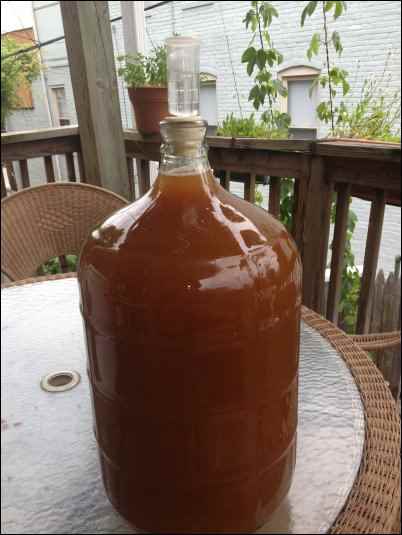 mead carboy