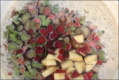 mead fermenting fruit