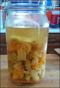 A Guide Fermenting for Beginners
