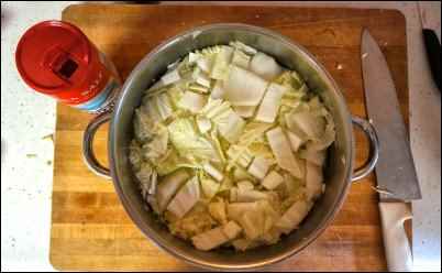 homemade sauerkraut A Guide for the Fledgling Fermenter Fermenting for Beginners