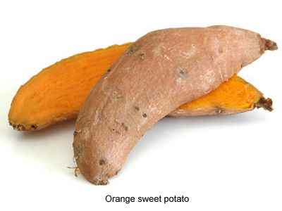 orange sweet potato