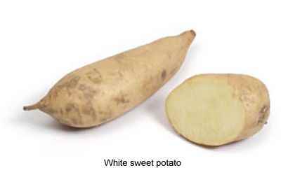 white sweet potato