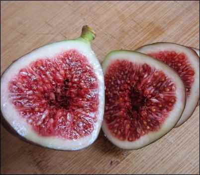 facts about figs oldest cultivated plant