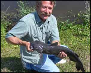 caught a catfish, Building Multi-use Ponds on the Homestead, Where Should a New Pond Go, Benefits of a Multi-use Pond, what fish should be stocked in a pond, multi use pond, homesteading