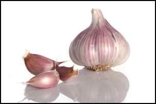 garlic, medicinal herbs, homesteading