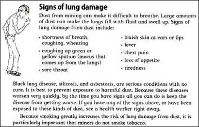 strategies for sustainability, signs of lung damage
