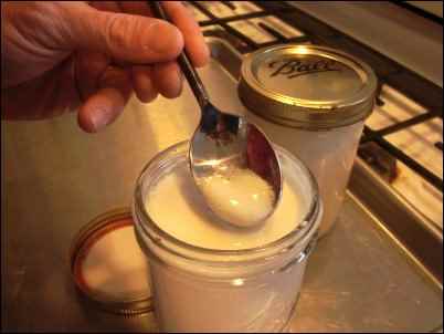 make yogurt