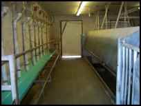 milking room dairy 