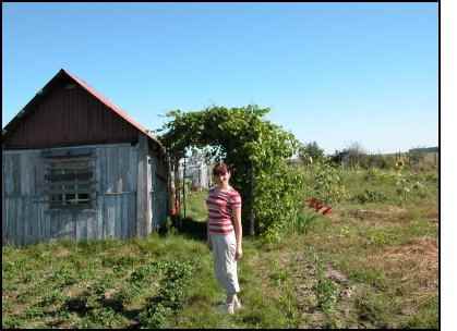 Homestead.org in the Former Soviet Union, homesteading in Russia