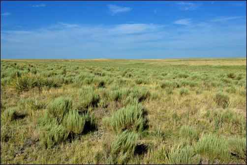 Home Alone: Women on the Plains | Coping with Prairie Fever